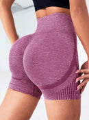 Shorts Feminino de Yoga — Conforto e Elasticidade — Cintura Alta e Secagem Rápida