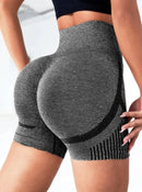 Shorts Feminino de Yoga — Conforto e Elasticidade — Cintura Alta e Secagem Rápida
